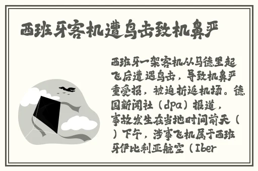联合早报南略中文网